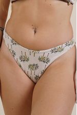 BOMB-ECUADOR-PALMERAS--1-