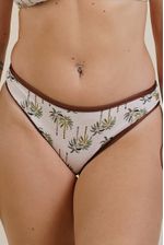 -BOMB-LIRIO-PALMERAS--1-